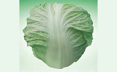 文章附图