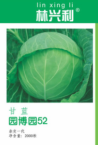 园博园52