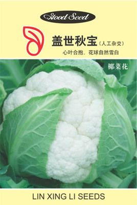 盖世秋宝