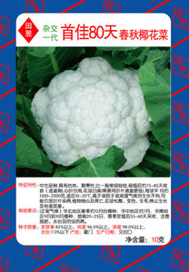 首佳80