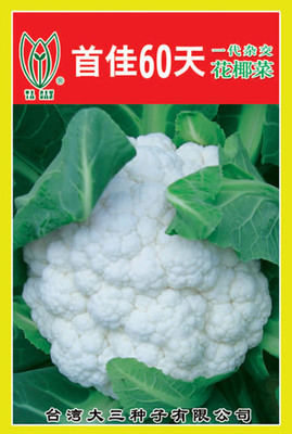 首佳60