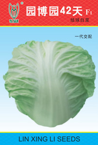园博园42天