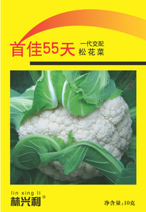 首佳55天