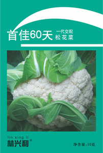 首佳60天